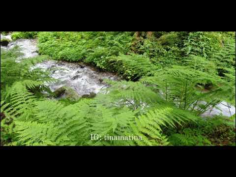 10 Minuten Body Scan und Bauchatmung. Ohne Musik.