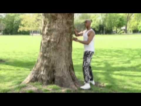 Antoine - umfrage zum Intigrationstest