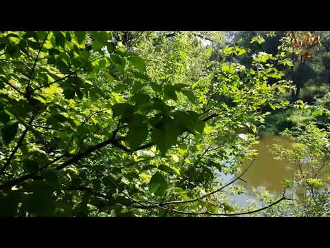 Poznaj Kresy - Horodło - Городло