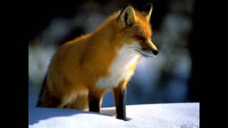 Jean Michel Jarre - Oxygene 10