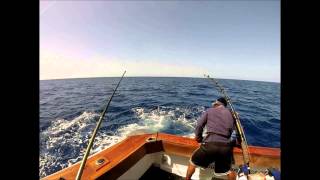 preview picture of video 'Pesca al Blue Marlin - Capo Verde 2014'