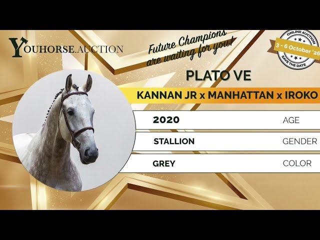 Plato flatworkvideo
