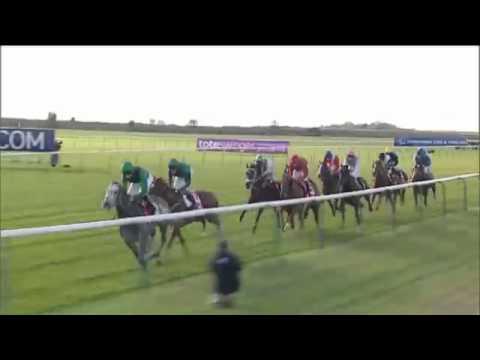 New Approach returns to HQ with a record-breaking six-length win in the 2008 Champion Stakes