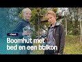 Brent (12) en Marijn (11) bouwen giga-boomhut in tuin | RTV Oost