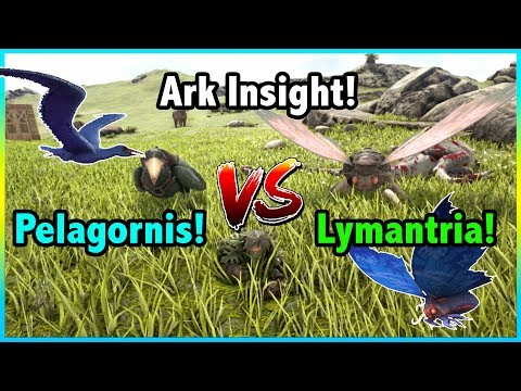 Ark Insight! -=- Which Is Better? LYMANTRIA V.S THE PELAGORNIS!!