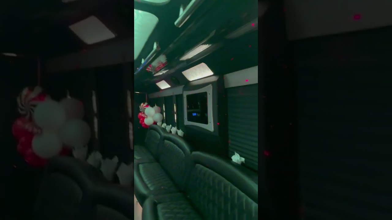 25 Passenger Party Bus with Restroom