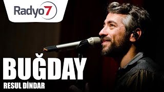 Buğday - RESUL DİNDAR