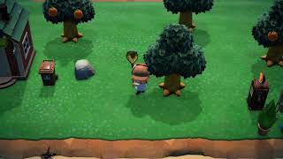 【あつまれどうぶつの森】サソリ捕獲、失敗２★