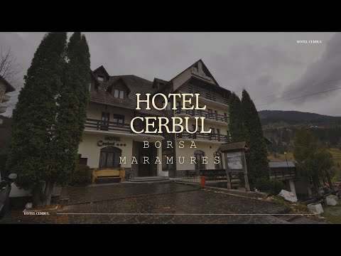 HOTEL CERBUL BORSA, MARAMURES, OFERTE CAZARE HOTEL CERBUL BORSA, MARAMURES, PROMOTII CAZARE LA MUNTE