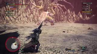 MHW:I B＃13　お久しぶり配信です