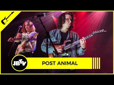 Post Animal - Dirtpicker | Live @ JBTV