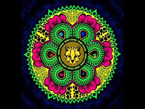 Ocelot vs Vectorselector-Twinkle Toes