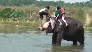 preview picture of video 'Elephant Bath in Chitwan National Park with Eco Holiday Asia,Kathmandu'