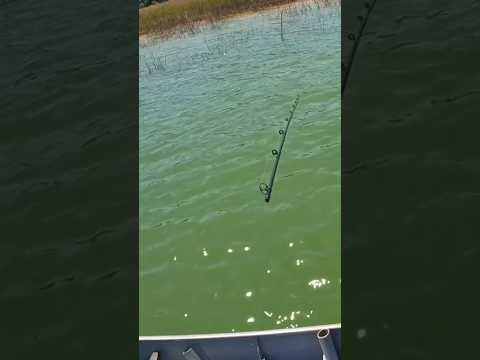 QUEBRANDO A VARA EM 3, 2, 1