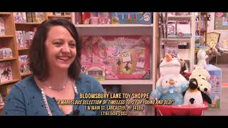 Bloomsbury Lane Toy Shoppe, Lancaster, NY