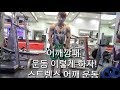 어꺠운동 어꺠깡패 루틴 스트렝스와 근비대의 짬짜면 루틴[ddong yun]