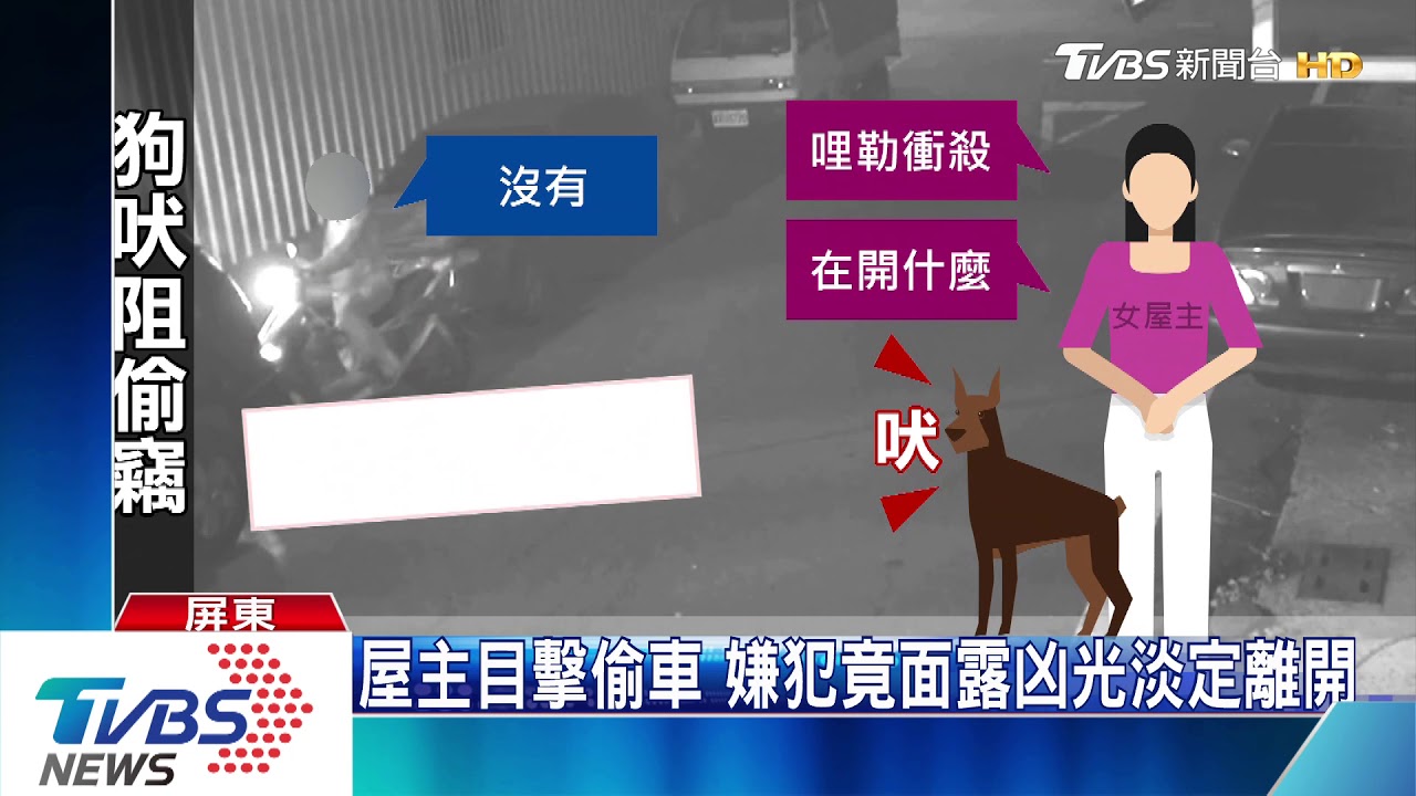 小狗狂吠驚動屋主 監視器目擊連偷三車