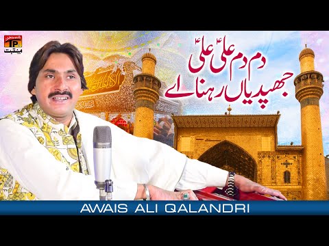 Dam Dam Ali Ali Jhapdian Rehna Ay | Awais Ali Qalandri | TP Manqabat