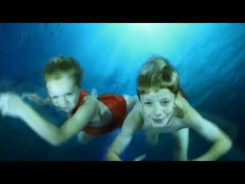 Abenteuer Korallenriff