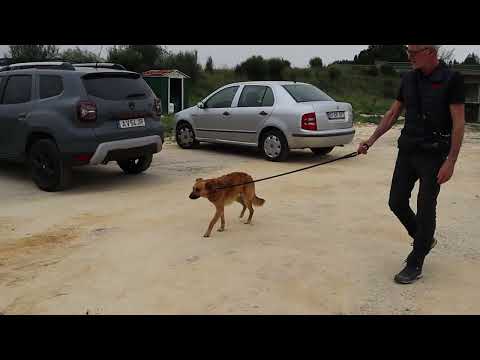 Vídeo de MATEO
