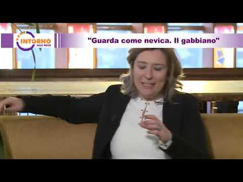 Intorno alle nove del 11 12 2019 - "Guarda come nevica. Il gabbiano"