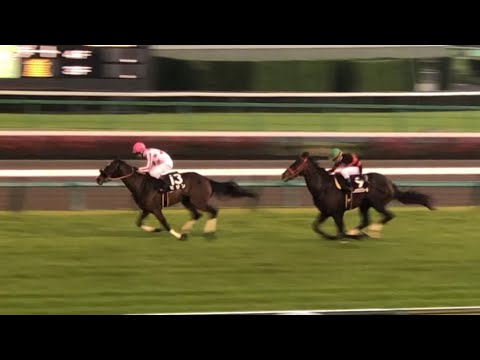 【現地】ビジン 美人 2023 サンシャインS