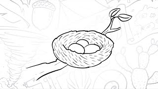 🌳 How to Draw a Simple Bird's Nest | Step-by-Step Lesson 🐣