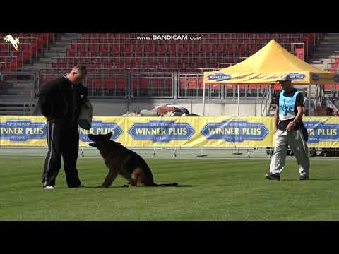 1040 Tago Villa Rostom - TSB BSZS-2023