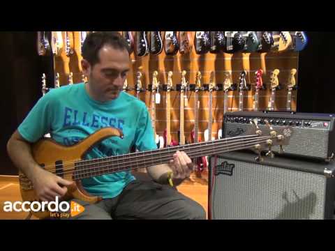 Fender Bassman 500