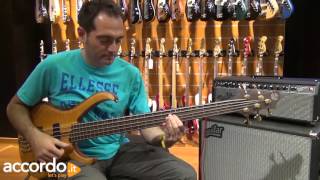 Video thumbnail for Fender Bassman 500 by accordoTV