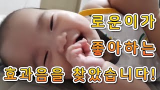 [생후155일] 로운이가 좋아하는 효과음을 찾았습니다