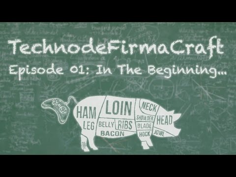 ~ Technode TerraFirmaCraft: Build to Survive - Ep01