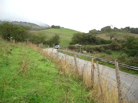 6°ENNA RONDE 2011 F.D'IZZIA-M.CORSO CLIO N3