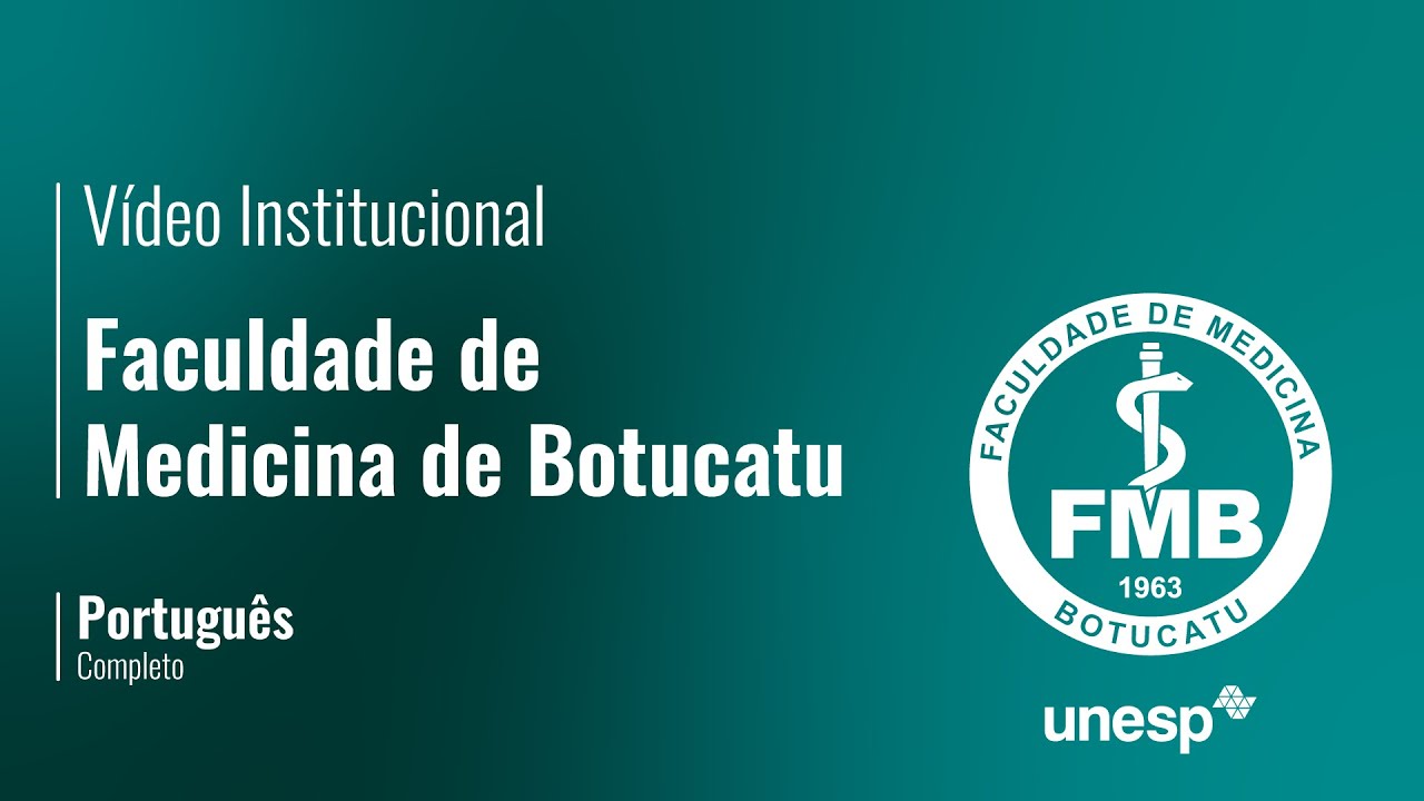 About the School of Medicine