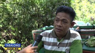 PERBAIKAN JALAN MENUJU  PULAU KU'U