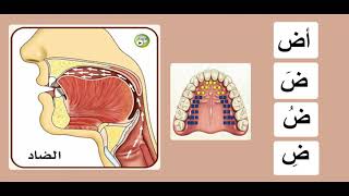 Download lagu Practicing The Arabic Letters |ض| Sheikh Ayman Suwaid mp3 Download lagu Practicing The Arabic Letters |ض| Sheikh Ayman Suwaid mp3