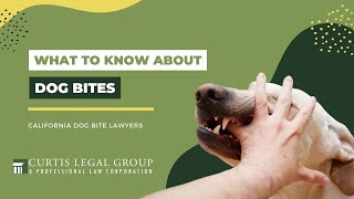 What To Know About Dog Bites | California Dog Bite Lawyers | Curtis Legal Group