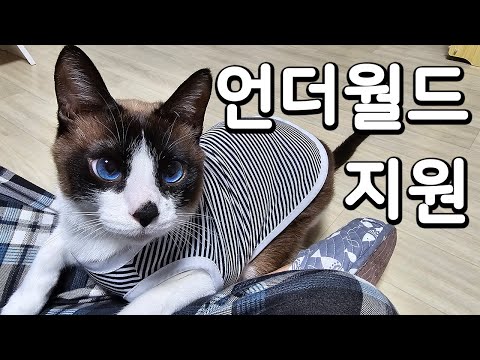 잼잼이, 언더월드에 지원해봤어요!!!