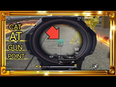 Cat At Gun Point ( Free Fire )    || RST TOMAR GAMING ||