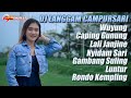 DJ LANGGAM CAMPURSARI FULL ALBUM SLOW BASS DIVANA PROJECT