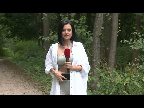 Kralupy TV: Prázdninová hra Kralup nad Vltavou putuje po skalách (23. 7. 2023)