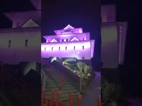 Castelo de Assaí, Paraná, Brasil. Fev . 2026. #assaí #paraná #brasil #brasile #japan