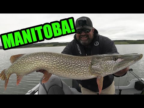 Can I Catch My Biggest Pike Ever Today?