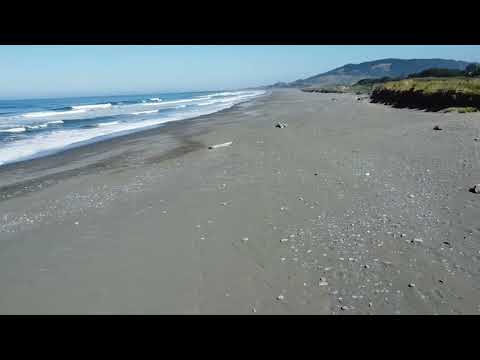 360 Gold Beach video of Jina and I soaking up the sun. September 4, 2024