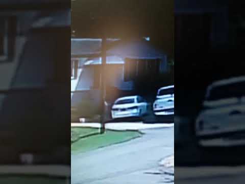 08.24.2019 - 🚫 😝 Randi Lyndsey Davis Lockstepping me