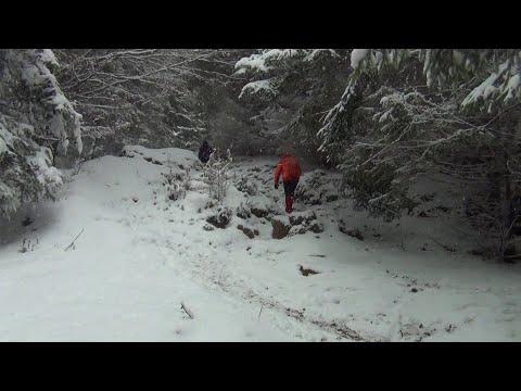 Busteni - Poiana Costilei