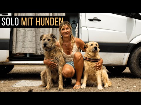 Job gekündigt: Alleine als Frau mit zwei Hunden im DIY Sprintervan reisen | Interview mit Kathy