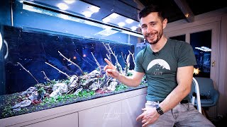 180CM AQUASCAPING TUTORIAL | 16 Species of Plants!