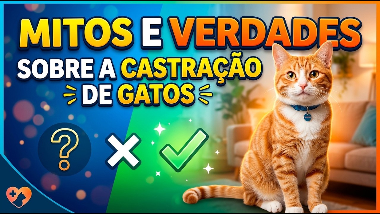CASTRAÇÃO DE GATOS: mitos e verdades - Gatil Hauser
