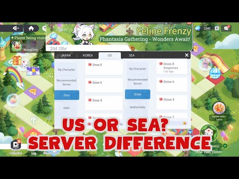 US OR SEA SERVER? TIME DIFFERENCE [Dragon Traveler]